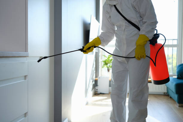 Best Residential Mold Remediation in Carson City, MI
