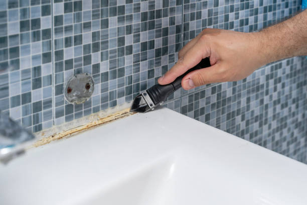Best Post-Remediation Services in Carson City, MI
