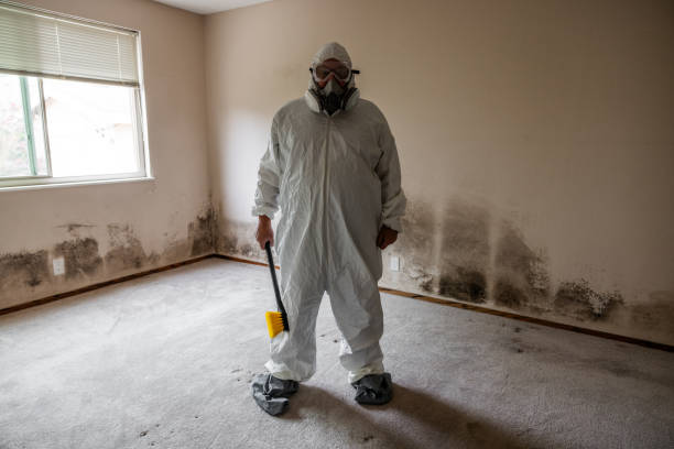 Best Mold Remediation for Specific Building Types in Carson City, MI